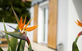 Casa-Simplicity Gelder Zetten Lda