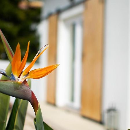 Casa-Simplicity Gelder Zetten Lda Gracieira Extérieur photo